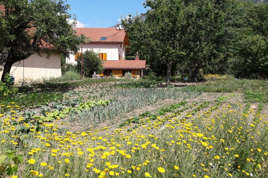 Gite "Entre Champsaur Et Valgodemard" Saint-Jacques-en-Valgodemard Exterior foto